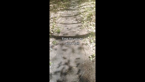 Visit a trail today #walk #hike #trail #nature #forest