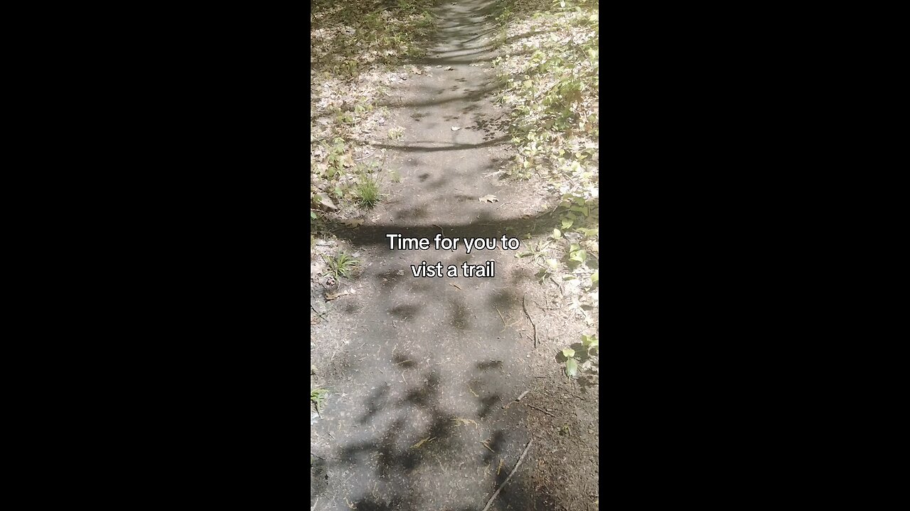 Visit a trail today #walk #hike #trail #nature #forest