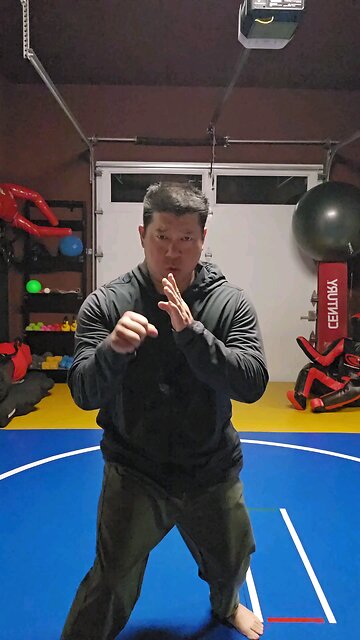 WTD Hand Combination 3, Kickstance Set (Rank 2)