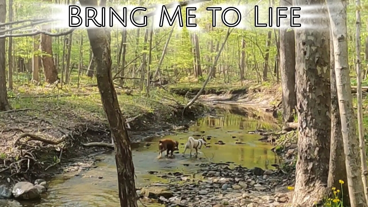 Bring Me to Life