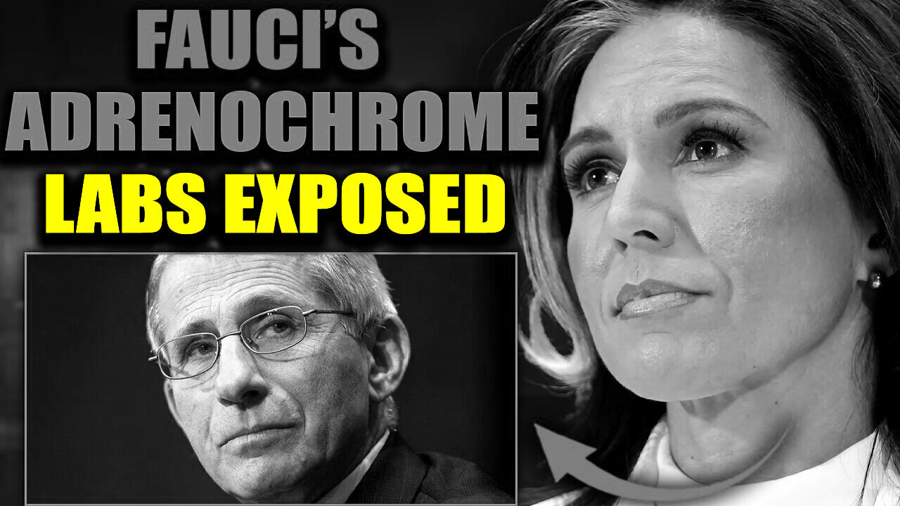 Tulsi Gabbard Exposes Fauci's Ukraine Biolabs as Adrenochrome Factories