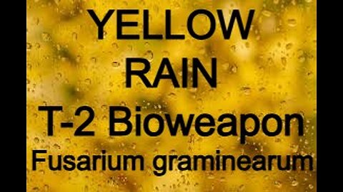 Yellow Rain T 2 BioWeapon Fusarium graminearum
