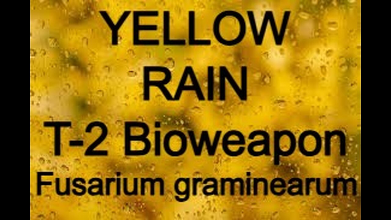 Yellow Rain T 2 BioWeapon Fusarium graminearum