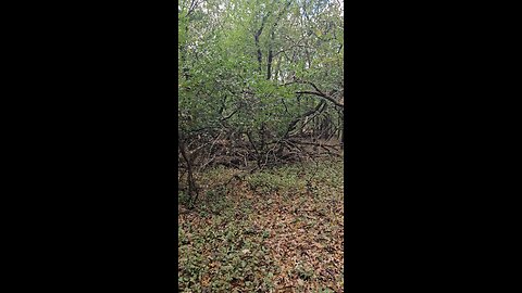 A Prayer for My Brother Tony