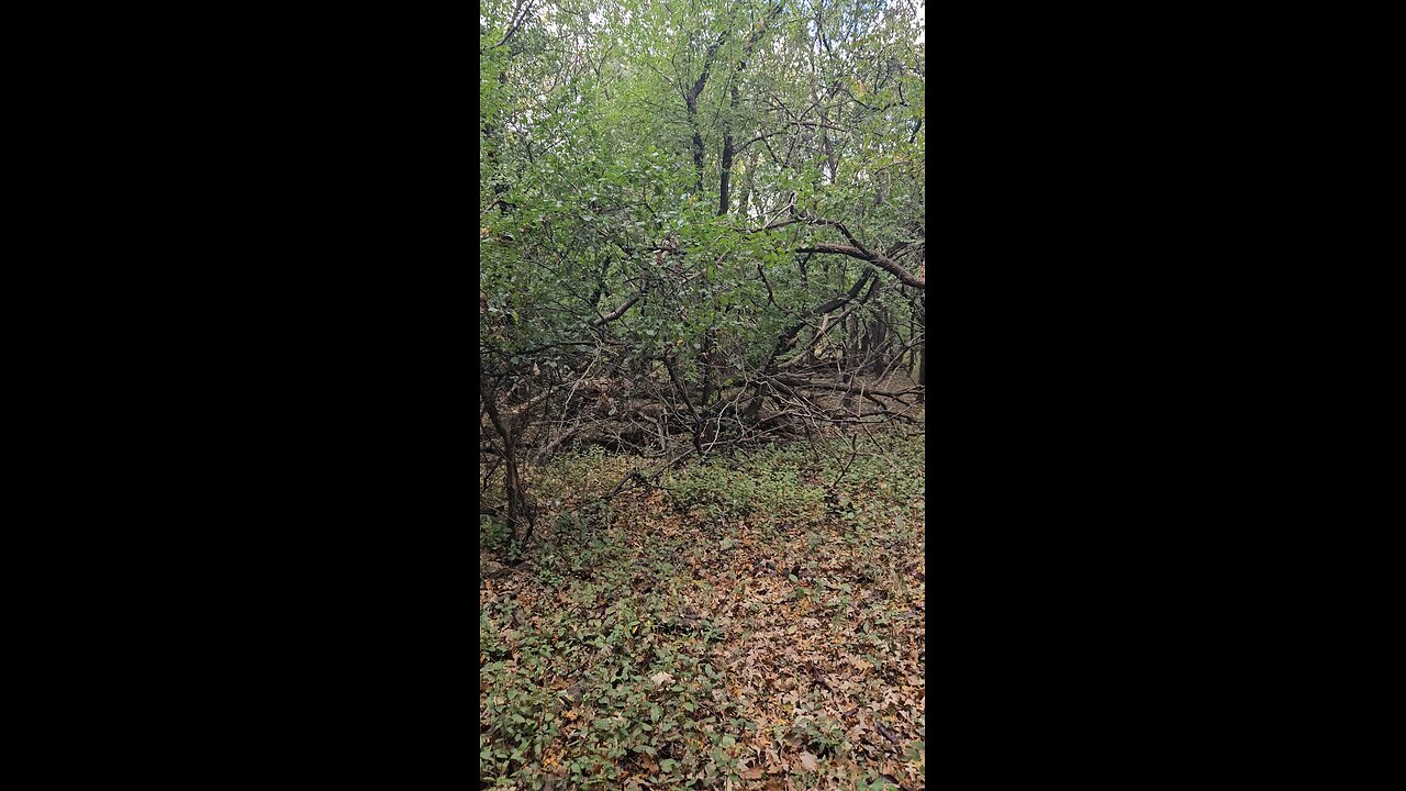 A Prayer for My Brother Tony