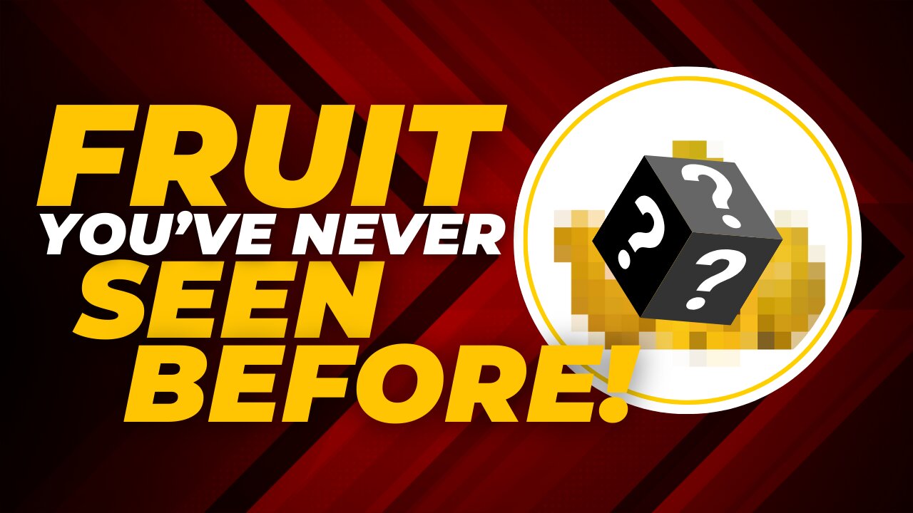 THEY DON'T WANT YOU TO KNOW: Exotic Superfruits Hidden at Australian Farm | Egg Fruit Revelation