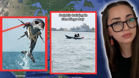 GLOBAL MILITARY DOLPHINS, DEEP WATER OPS....