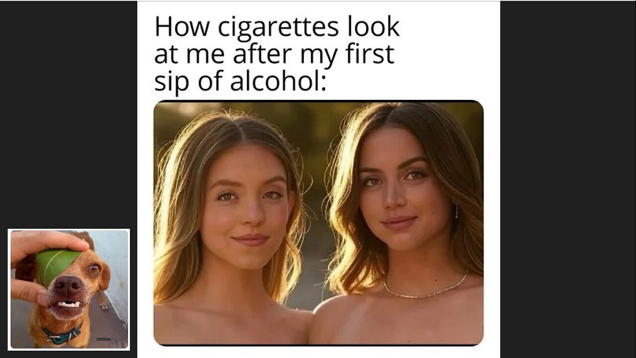 Memes That Will 99.0144% Make You Laugh. (e368)