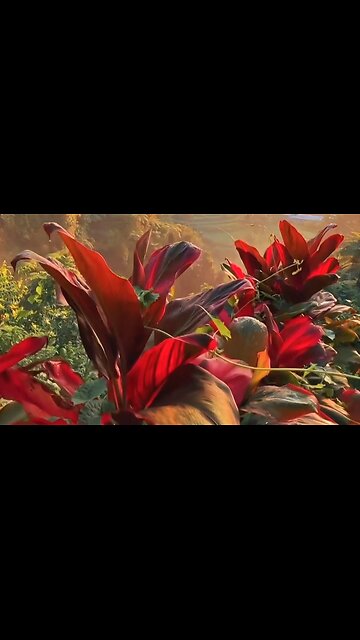 GOD IS OUR KEEPER - DAILY DEVOTIONAL ❤️