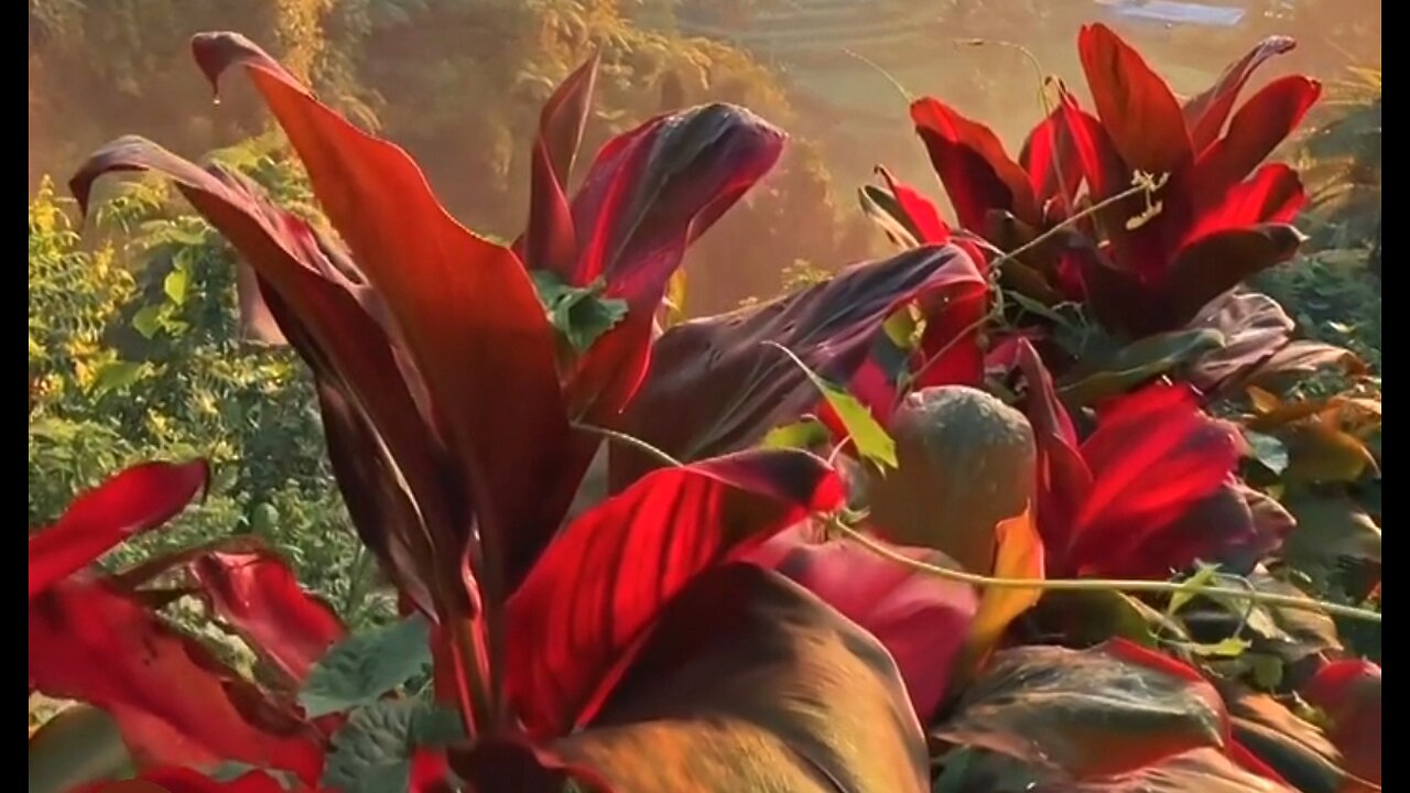 GOD IS OUR KEEPER - DAILY DEVOTIONAL ❤️