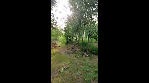 satisfying Video