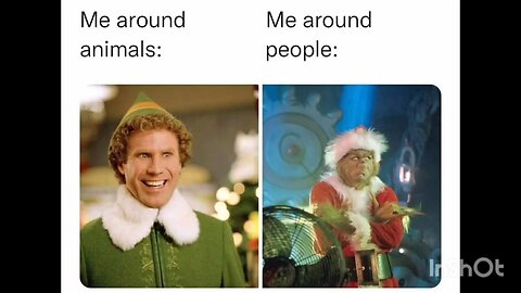 Me around animals: