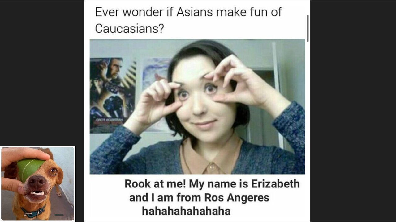 Memes That Will 99.0210% Make You Laugh. (e434)