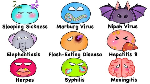 Ogni malattia contagiosa spiegata DOCUMENTARIO