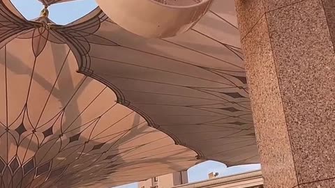 فالله الله في المبادرة إلى بقية العلماء الربانيين - الشيخ صالح بن محمد السويح -حفظه الله-