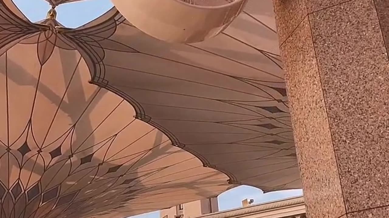 فالله الله في المبادرة إلى بقية العلماء الربانيين - الشيخ صالح بن محمد السويح -حفظه الله-