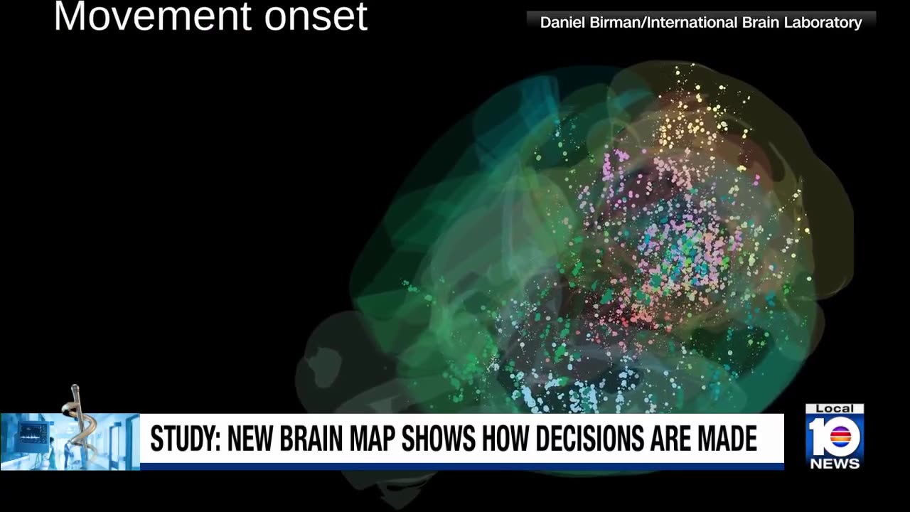 HealthCast: Neural map shows brain activity during decision