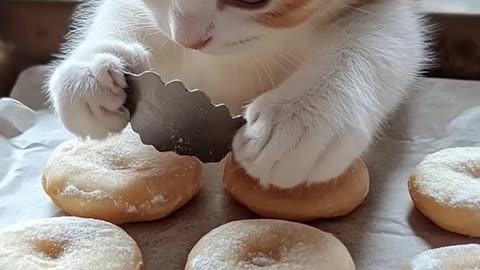 Donuts #cat #funnycat #catlover #kitten #viralvideo #cutecat #shorts