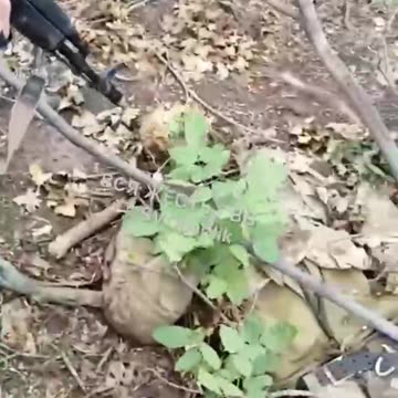 Ukriane war combat footage 8/21/25