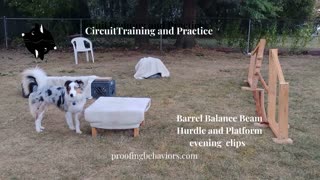 Circuit Training evening clips