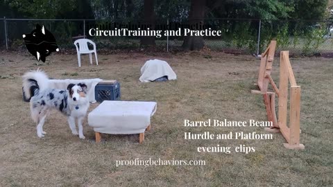 Circuit Training evening clips
