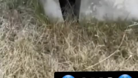 😱👻 Poltergeist Activity Caught on Camera! | TheHauntingHour