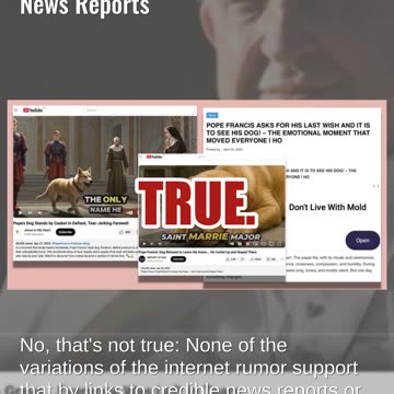 Fact Check: Videos About 'Pope Francis' Dog' Are NOT Authentic News Reports