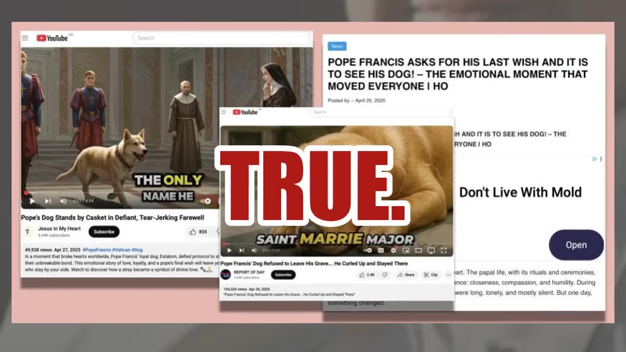 Fact Check: Videos About 'Pope Francis' Dog' Are NOT Authentic News Reports