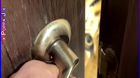 Don’t Forget to Knock 🐯