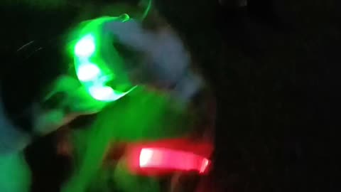 😂💡 Lightsaber Duel! My Dog vs. Another Dog | FunFM
