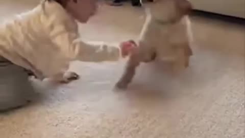 My Toddler Thinks He's a Puppy Now 😂🐶