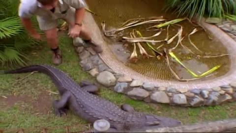 CLASSIC OUTDOORS 'The Big Wet " CHD