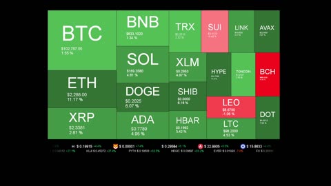 Live Coin Price Watch!