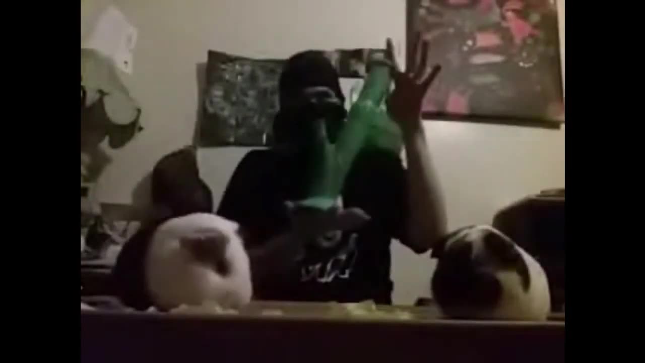 Nizzoes & OG "The Juggalo Guinea Pigs" (Part 2)