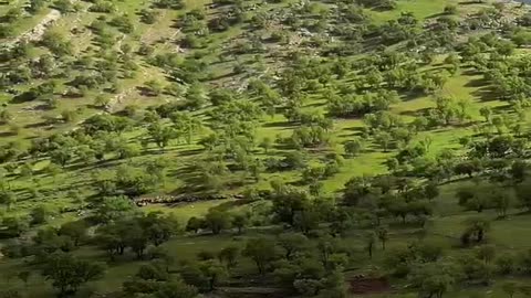 نورآباد ممسنی ، noorabad mamasani