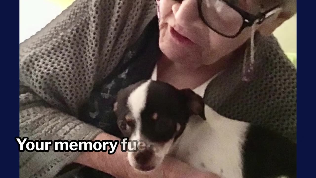 Mama They Stole Your Final Days