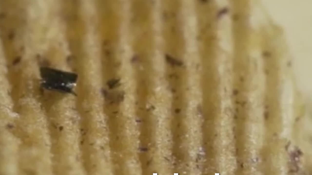 Scientific Accidents — Entry #22: Potato Chips