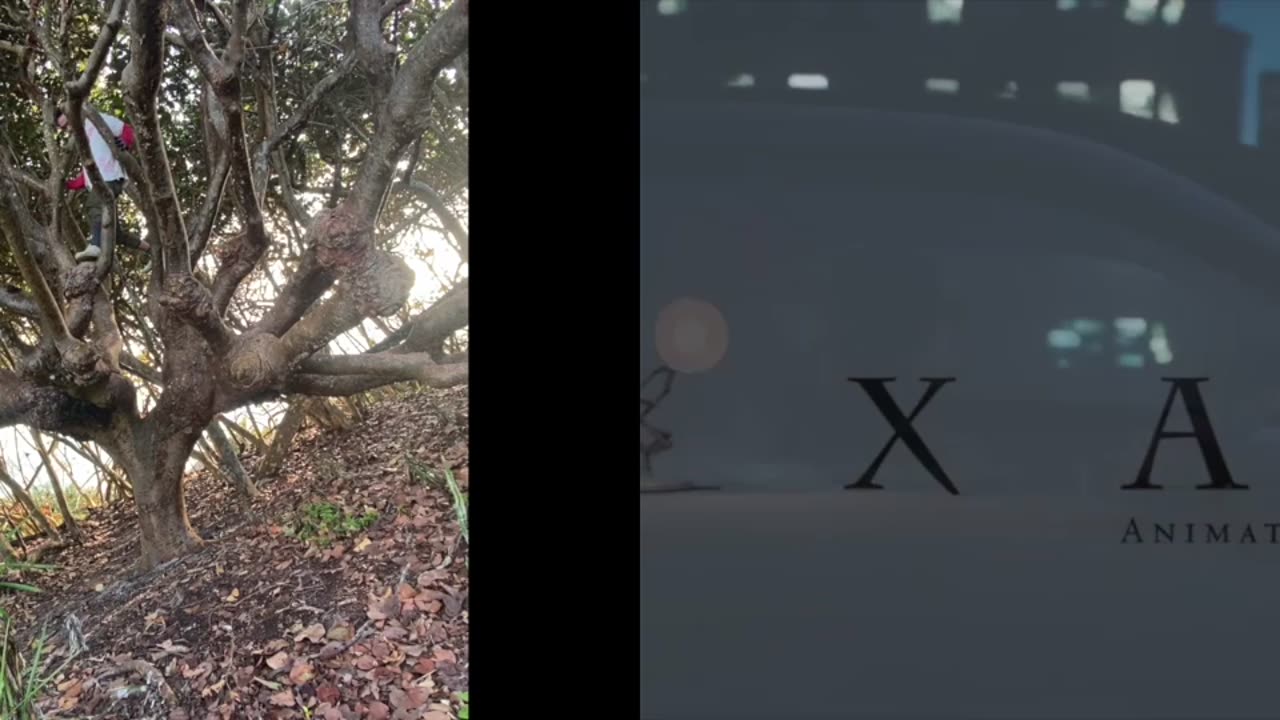 GOWM