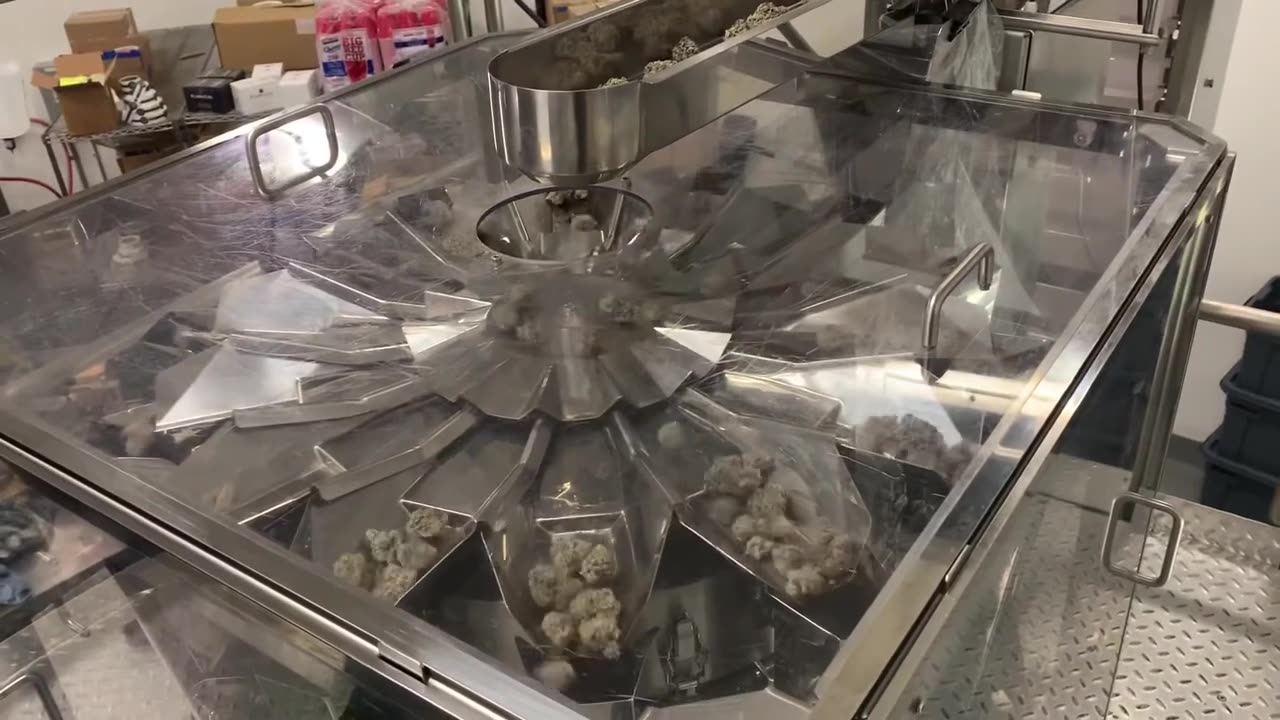 High Tek USA - Cannabis Packaging System - Bucket Elevator and Vibratory Feeder