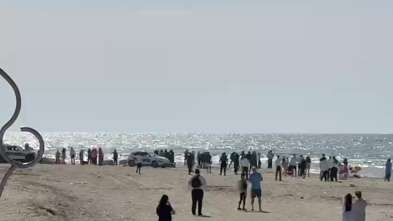 A helicopter is participating in the search for the person attacked by the shark.