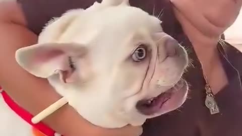 Please help me
