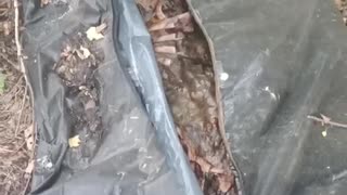 Ukraine war combat footage july 21 2025