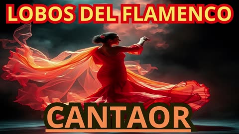 Cantaor (Flamenco)