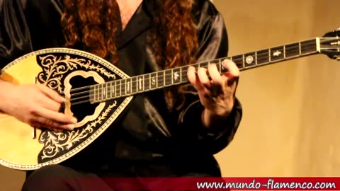 Bouzouki live improvisation