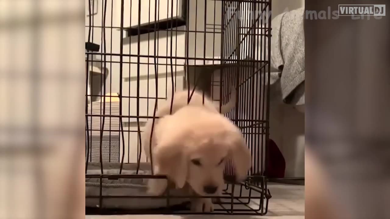 3Spirit Tv😳🙄🤣🤣❤️❤️❤️xxxx