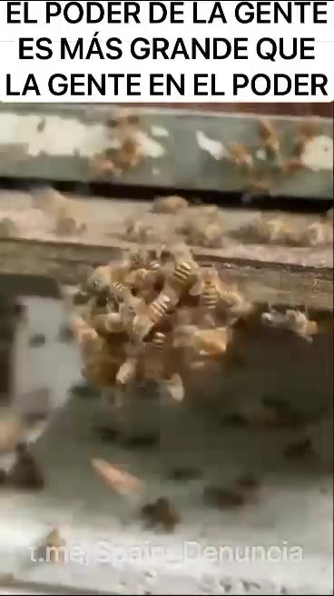 El poder ciudadano es mas poderoso que los politicos cabecillas.
