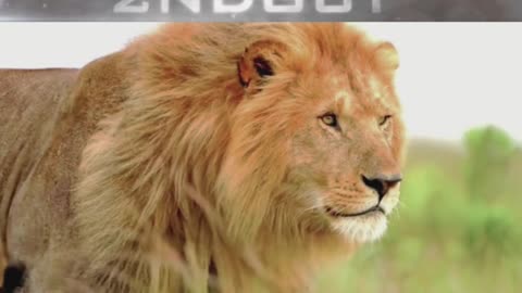 Walk in Authority Christian Vision Ephesians 2:10 KJV Full Video #faith