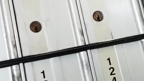 Rosemary, P.O. Box 135, Lowell, Oregon, 97452