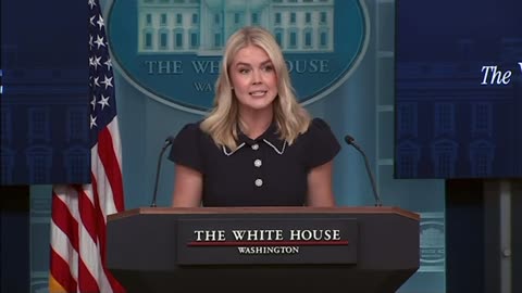 Karoline Leavitt Responds to Declassified FBI Report on Adam Schiff