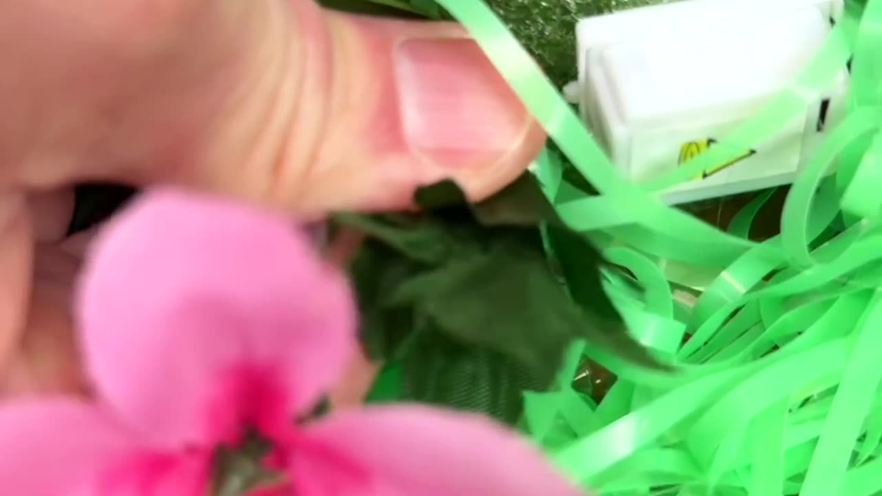 From Dollar store to Easter decor